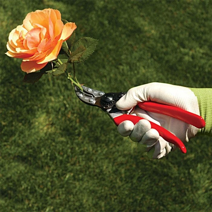Felco 100 Special Application - Cut & Hold Pruning Shears 5 Felco 100 Special Application - Cut & Hold Pruning Shears - Image 5