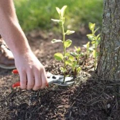 Traditional Bypass Pruners By A.M. Leonard, 1in Cutting Capacity, Lifetime Warranty -Landscape greening equipment 1286 8