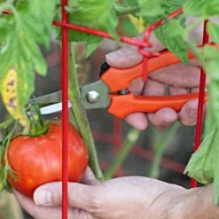 Leonard Pointed Tip Stainless Steel Hand Shears, 7.5-inch Length -Landscape greening equipment 1503 3 1