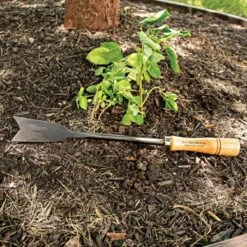 Asparagus Weeder Steel Knife -Landscape greening equipment 19ak live2 7.20.22