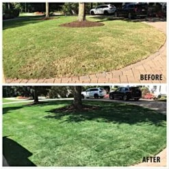 GURUgrass™ Premium Grass Colorant - 1 Quart -Landscape greening equipment 20101 live