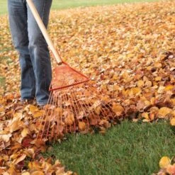 Leonard 22-Tine Forestry Rake -Landscape greening equipment 228f 4