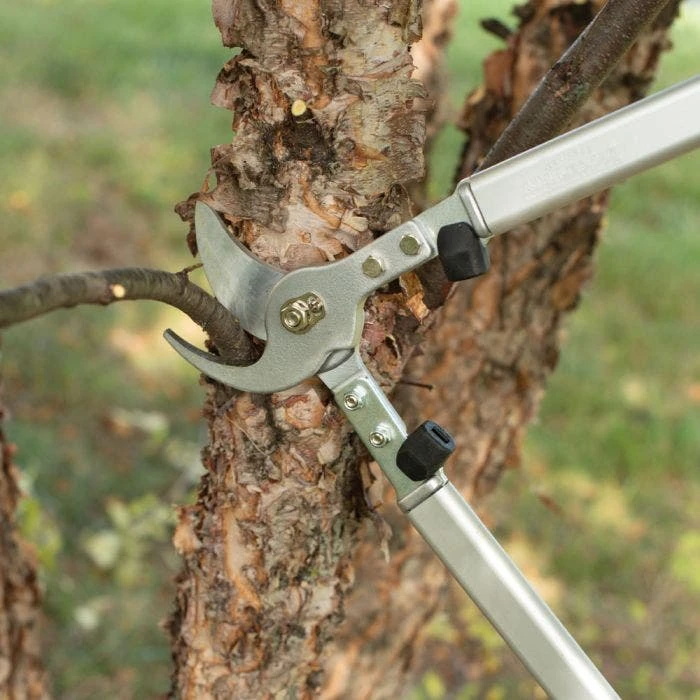 Leonard 24in Professional Lifetime Lopper 1.5in Capacity 4 Leonard 24in Professional Lifetime Lopper 1.5in Capacity - Image 4