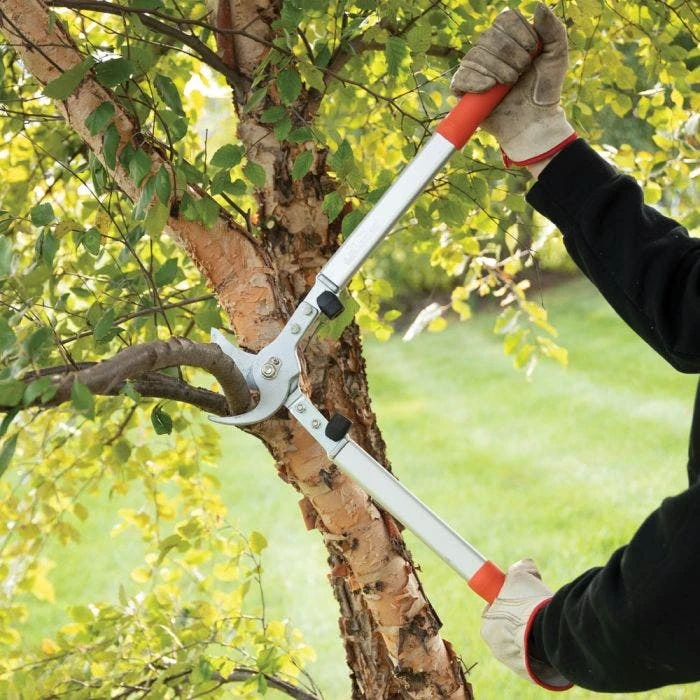 Leonard 24in Professional Lifetime Lopper 1.5in Capacity 5 Leonard 24in Professional Lifetime Lopper 1.5in Capacity - Image 5