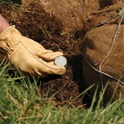 Leonard Fertilizer Tablets For Containers 14-4-6 Controlled Release 3 To 4 Months 3 Grams -Landscape greening equipment 3gct 3 1