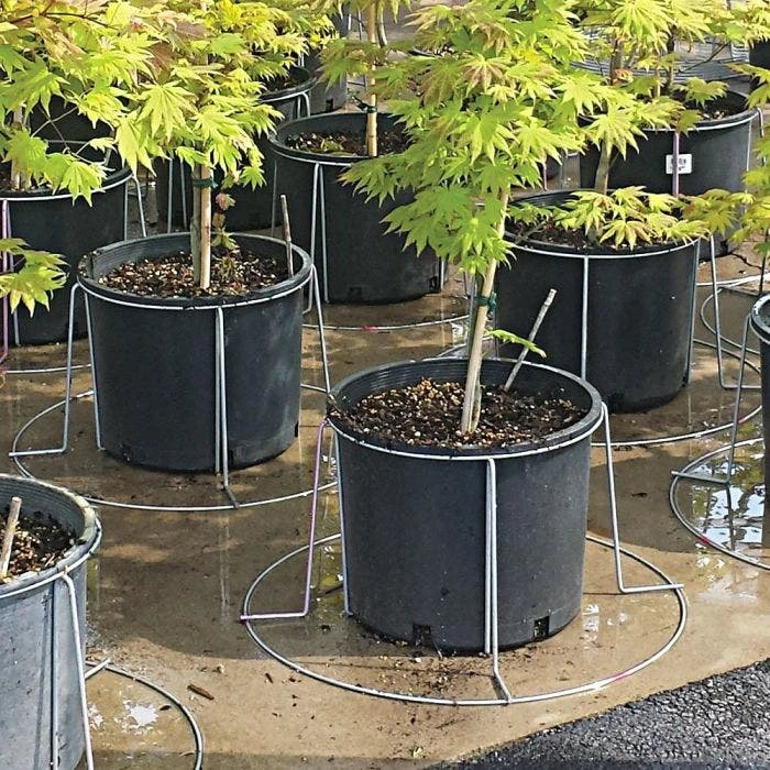 Better Bilt TopHat Plant Container Stabilizer - 25 Gallon Size 2 Better Bilt TopHat Plant Container Stabilizer - 25 Gallon Size - Image 2