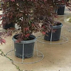 Better Bilt TopHat Plant Container Stabilizer - 3 Gallon Size -Landscape greening equipment 3ps3 2