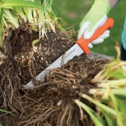 Leonard Wavy Edge Stainless Steel Cut-All Knife, 8-Inch Blade -Landscape greening equipment 4041t 6