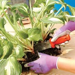 Deluxe Stainless Steel Soil Knife By A.M. Leonard, 6in Dual Edged Blade, Lifetime Warranty -Landscape greening equipment 4752 4