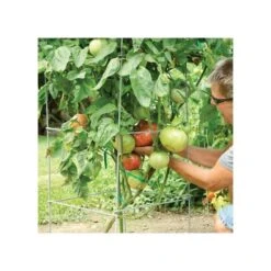 Super-Sturdy Professional Folding Tomato Cage, 60in X 18in -Landscape greening equipment 89713 2