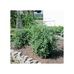Super-Sturdy Professional Folding Tomato Cage, 60in X 18in -Landscape greening equipment 89713 3