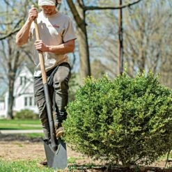 Leonard Classic Full-Strap Spade, Straight Handle -Landscape greening equipment a13ml 3