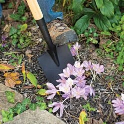 Leonard Floral Shovel Straight Handle -Landscape greening equipment afs210 4
