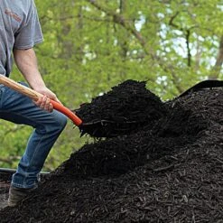 Leonard 10-Tine Forged Steel Scoop Fork With 48-Inch Straight Handle -Landscape greening equipment amf10l 5 1