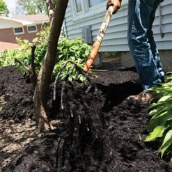 Leonard 6-Tine Forged Steel Manure Fork With 54-Inch Straight Handle -Landscape greening equipment amf6 5 1