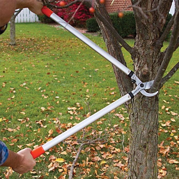 Leonard Forged Steel Bypass Loppers, 1-3/4-Inch Cutting Capacity 5 Leonard Forged Steel Bypass Loppers, 1-3/4-Inch Cutting Capacity - Image 5