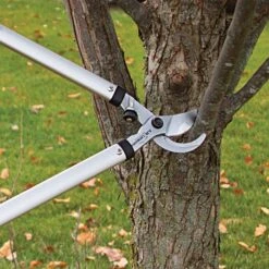 Leonard Forged Steel Bypass Loppers, 1-3/4-Inch Cutting Capacity 12 Leonard Forged Steel Bypass Loppers, 1-3/4-Inch Cutting Capacity -Landscape greening equipment aml32 5