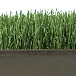 Turf Type Tall Fescue, 25 Lb Bag -Landscape greening equipment attf25 2 1
