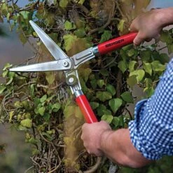 Berger Compact Precision Topiary Shear With Wooden Handles -Landscape greening equipment b2510 live2