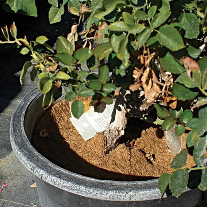 Coco Weed Guards, 35-Centimeter Diameter, Case Of 50 4 Coco Weed Guards, 35-Centimeter Diameter, Case Of 50 - Image 4