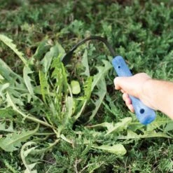 CobraHead Weeder And Cultivator, 13-inch Handle -Landscape greening equipment chead 3