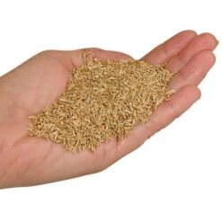 Fairlawn Blue And Rye Mix, 25 Lb Bag -Landscape greening equipment fair25 2 1