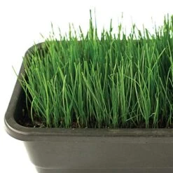 Fairlawn Blue And Rye Mix, 25 Lb Bag -Landscape greening equipment fair25 3 1