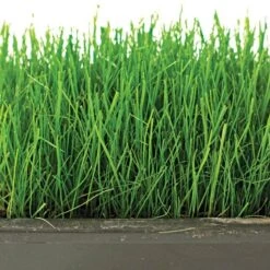 Fairlawn Shade Mix, 5 Lb Bag -Landscape greening equipment flsh5 2 1