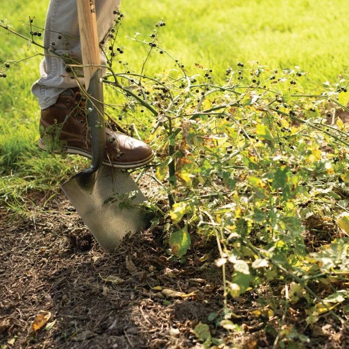 Leonard Forged Round Point Shovel With 48in Ash Handle 4 Leonard Forged Round Point Shovel With 48in Ash Handle - Image 4