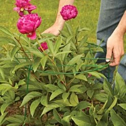 Commercial Steel Grid Plant Brace, 25in X 16in -Landscape greening equipment gpb 2