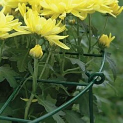 Commercial Steel Grid Plant Brace, 25in X 16in -Landscape greening equipment gpb 3