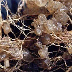 Soil Moist, 3 Lb Bulk Jug -Landscape greening equipment jcd030sm 2