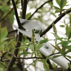 ARS LongReach Pruner 6ft Fixed Length Super Light Razor Edge -Landscape greening equipment lrp6 3 1