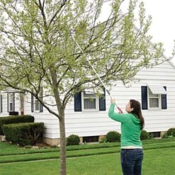 ARS LongReach Pruner 6ft Fixed Length Super Light Razor Edge -Landscape greening equipment lrp6 7