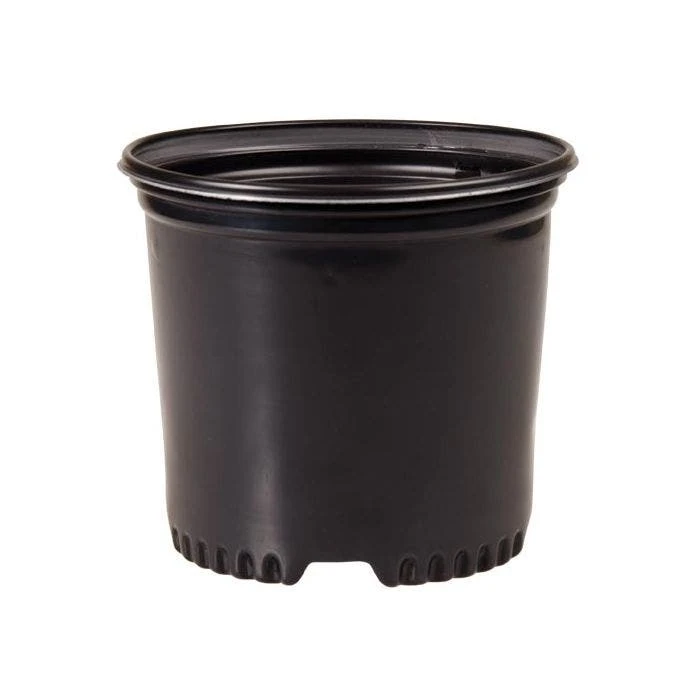 NSI Pressure Formed Container Trade True 1 1 NSI Pressure Formed Container Trade True 1