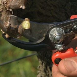 Bahco; Professional Ergonomic Pruners, 1.25-inch Cutting Capacity 11 Bahco; Professional Ergonomic Pruners, 1.25-inch Cutting Capacity -Landscape greening equipment pxl3 5