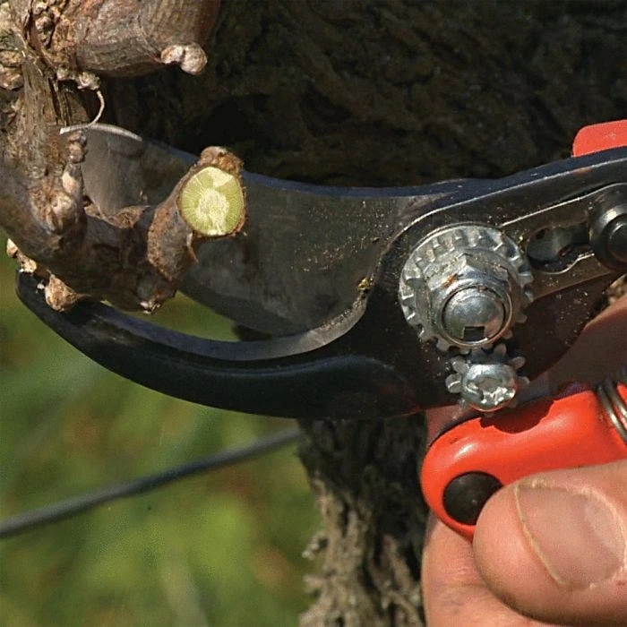 Bahco; Professional Ergonomic Pruners, 1.25-inch Cutting Capacity 6 Bahco; Professional Ergonomic Pruners, 1.25-inch Cutting Capacity - Image 6