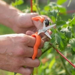 Hands-Free Ring Pruner -Landscape greening equipment rp2 4
