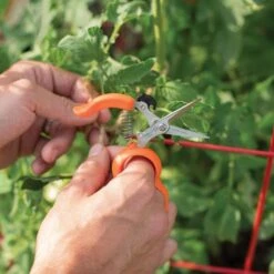 Hands-Free Ring Pruner -Landscape greening equipment rp2 5