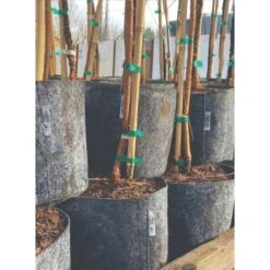 Charcoal Line Root Pouch Bales, 12-18 Months, 3 Gallon -Landscape greening equipment rp318 stacked 1 1