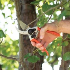 Leonard Saw, Pruner, Dual Case Combo Kit With Belt -Landscape greening equipment sc89comb 8