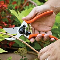 Leonard Pruner, Saw, Sheath Combo Kit -Landscape greening equipment sp15com7 6