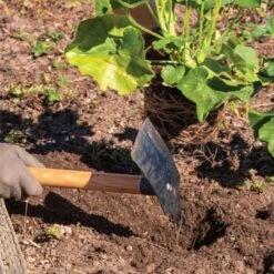 Hoedag Original Planter Mattock With 54" Handle -Landscape greening equipment tn54 live2