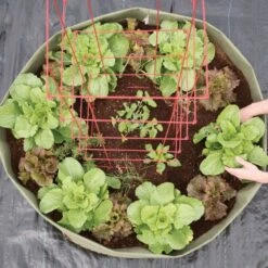 Root Pouch Non Degradable Mega Grow Bag Raised Bed -Landscape greening equipment vp boxerbed 5