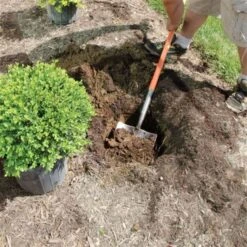 Leonard Caprock Irrigation Shovels -Landscape greening equipment vp capp 6