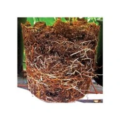 Grotab 3-in-1 Premium Plant Starter (12-8-4) 8 Grotab 3-in-1 Premium Plant Starter (12-8-4) -Landscape greening equipment vp gt 2