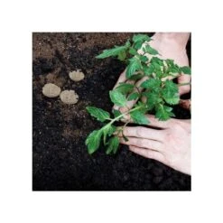 Grotab 3-in-1 Premium Plant Starter (12-8-4) 9 Grotab 3-in-1 Premium Plant Starter (12-8-4) -Landscape greening equipment vp gt 3