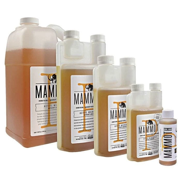 MAMMOTH P 1 MAMMOTH P