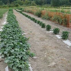 Biodegradable Paper Mulch -Landscape greening equipment vp pprmlch 7