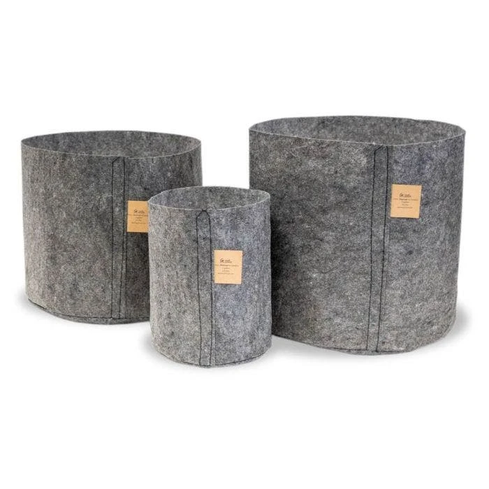 Charcoal Line Root Pouch, 12-18 Months 1 Charcoal Line Root Pouch, 12-18 Months